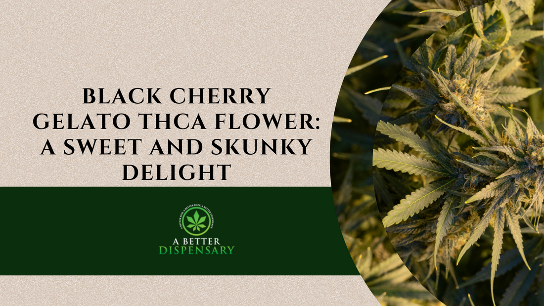 Black Cherry Gelato THCa Flower: A Sweet and Skunky Delight